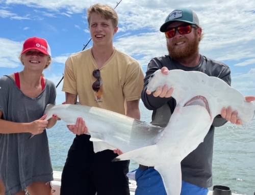 Hilton Head Shark Fishing Experience Of A Lifetime