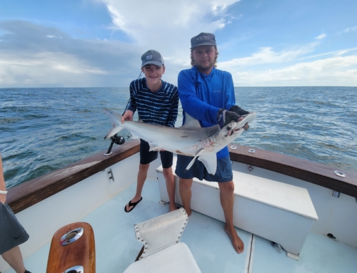 Successful Hilton Head Shark Fishing Trip